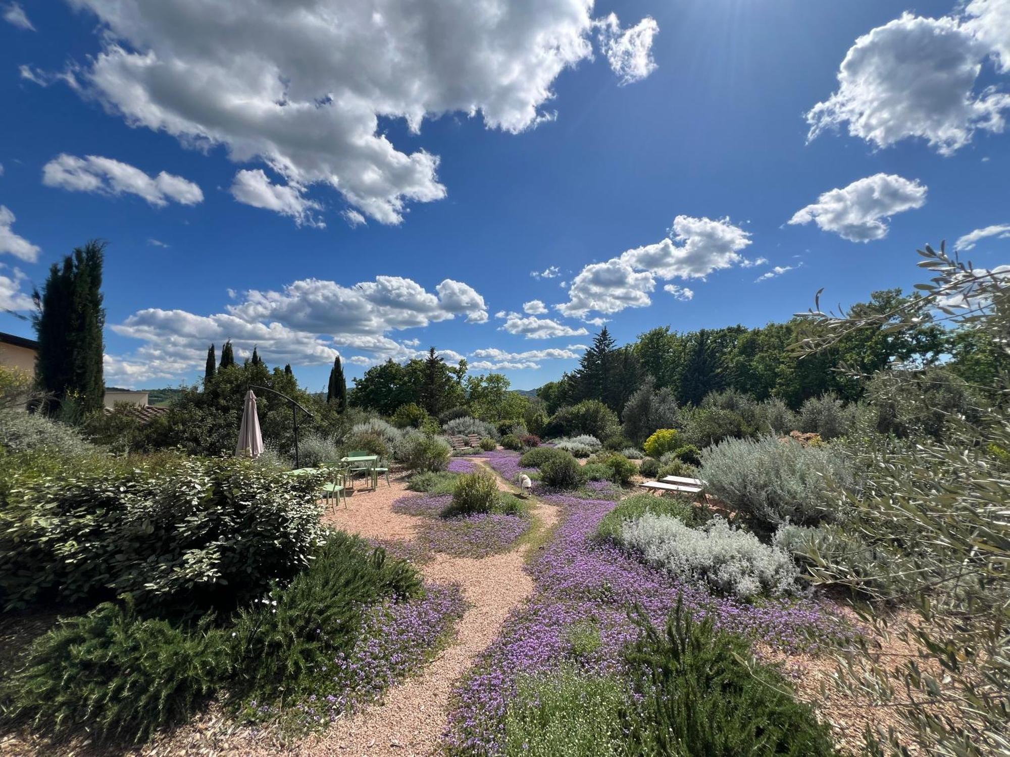 Casale Terre Rosse Bed & Breakfast Saturnia Eksteriør bilde